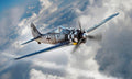 Focke-Wulf FW190A-6 | 81781 | HobbyBoss | 1:48